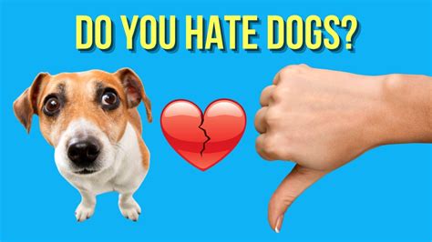 dating someone who hates dogs